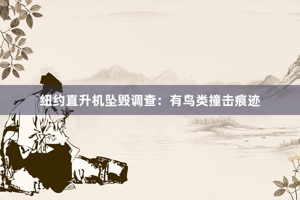 纽约直升机坠毁调查：有鸟类撞击痕迹