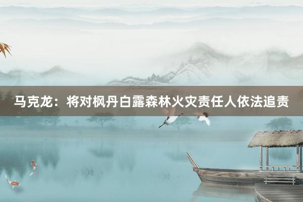 马克龙：将对枫丹白露森林火灾责任人依法追责