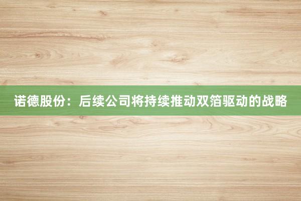 诺德股份：后续公司将持续推动双箔驱动的战略