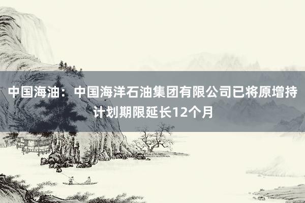 中国海油：中国海洋石油集团有限公司已将原增持计划期限延长12个月