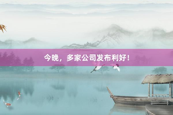 今晚，多家公司发布利好！