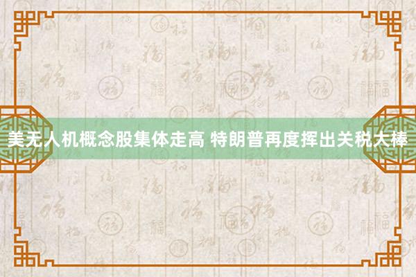 美无人机概念股集体走高 特朗普再度挥出关税大棒