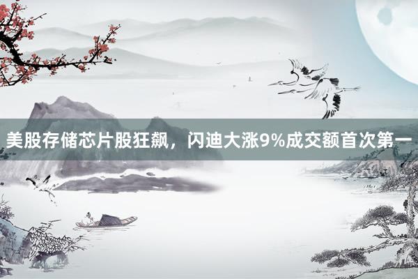 美股存储芯片股狂飙，闪迪大涨9%成交额首次第一