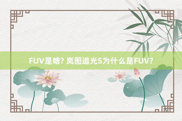 FUV是啥? 岚图追光S为什么是FUV?