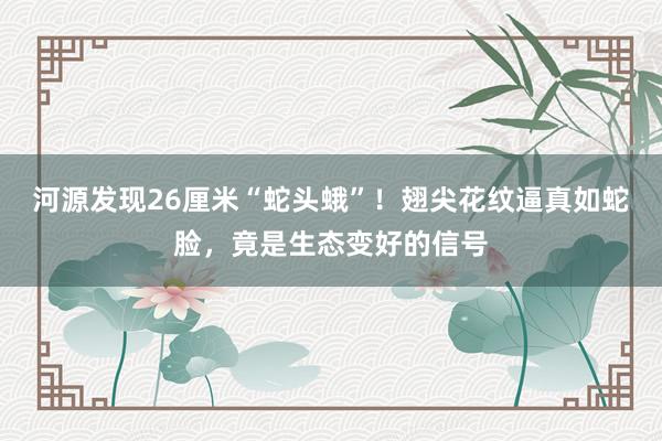河源发现26厘米“蛇头蛾”！翅尖花纹逼真如蛇脸，竟是生态变好的信号