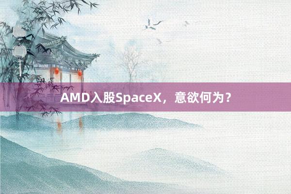 AMD入股SpaceX，意欲何为？