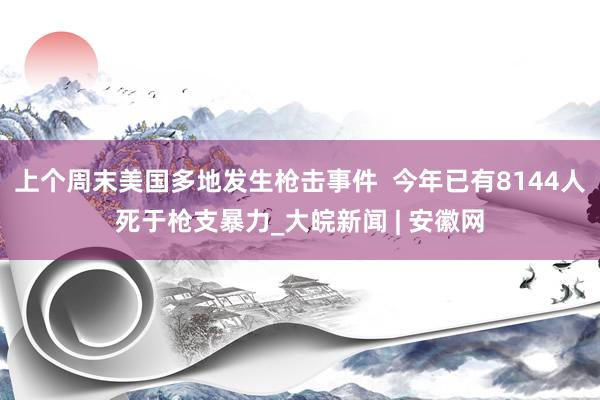 上个周末美国多地发生枪击事件  今年已有8144人死于枪支暴力_大皖新闻 | 安徽网