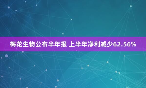 梅花生物公布半年报 上半年净利减少62.56%