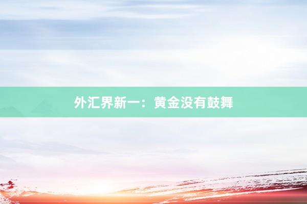 外汇界新一：黄金没有鼓舞
