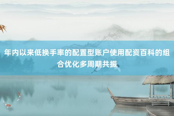 年内以来低换手率的配置型账户使用配资百科的组合优化多周期共振