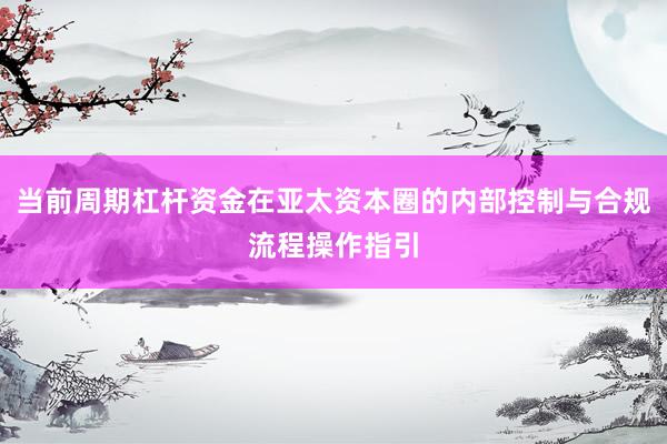 当前周期杠杆资金在亚太资本圈的内部控制与合规流程操作指引