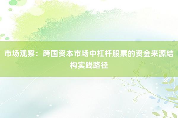 市场观察：跨国资本市场中杠杆股票的资金来源结构实践路径