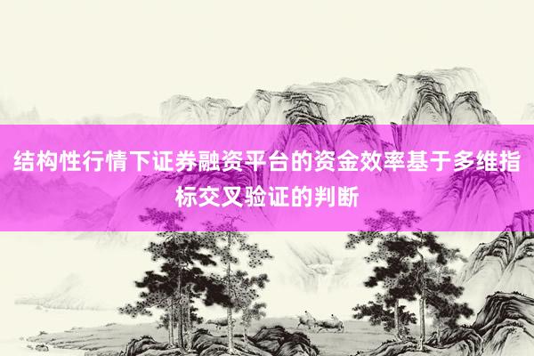 结构性行情下证券融资平台的资金效率基于多维指标交叉验证的判断