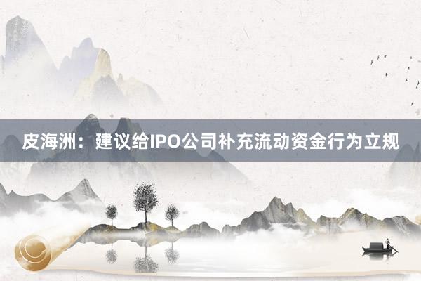 皮海洲：建议给IPO公司补充流动资金行为立规