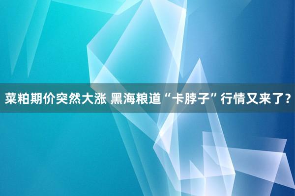 菜粕期价突然大涨 黑海粮道“卡脖子”行情又来了？