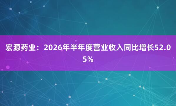 宏源药业：2026年半年度营业收入同比增长52.05%