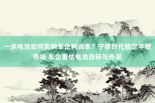 一块电池如何影响车企利润表？宁德时代锁定半壁市场 车企重估电池自研与外采