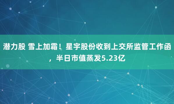 潜力股 雪上加霜！星宇股份收到上交所监管工作函，半日市值蒸发5.23亿