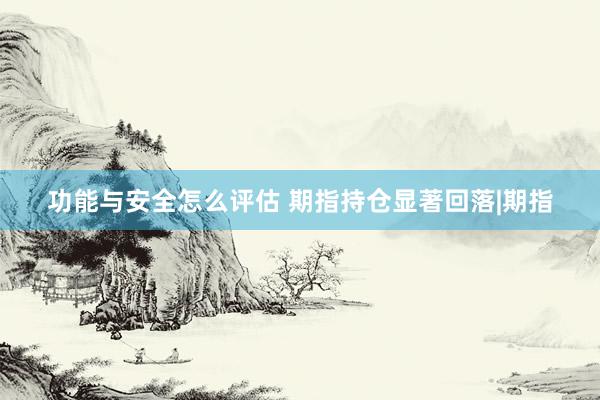 功能与安全怎么评估 期指持仓显著回落|期指
