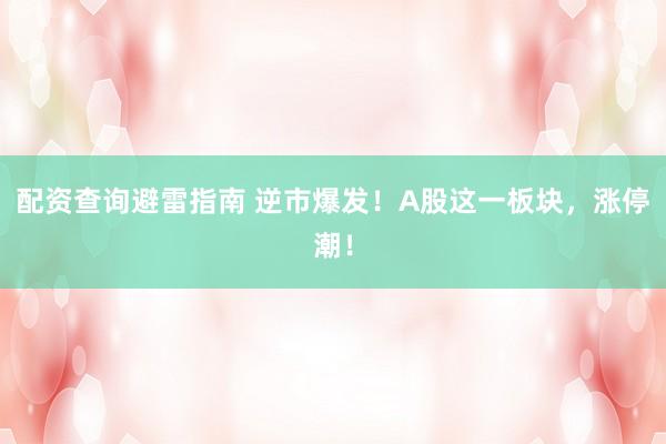 配资查询避雷指南 逆市爆发！A股这一板块，涨停潮！