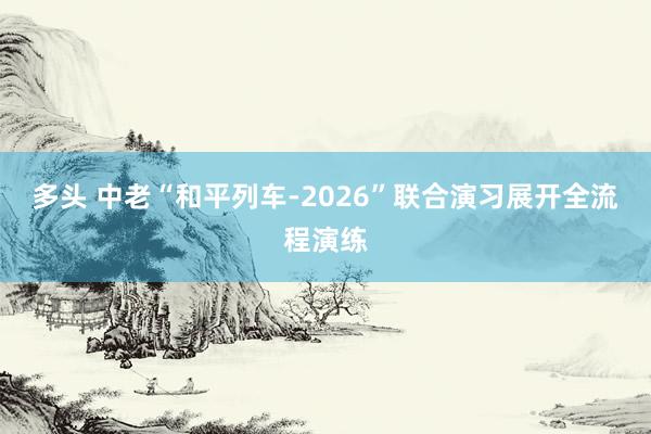 多头 中老“和平列车-2026”联合演习展开全流程演练