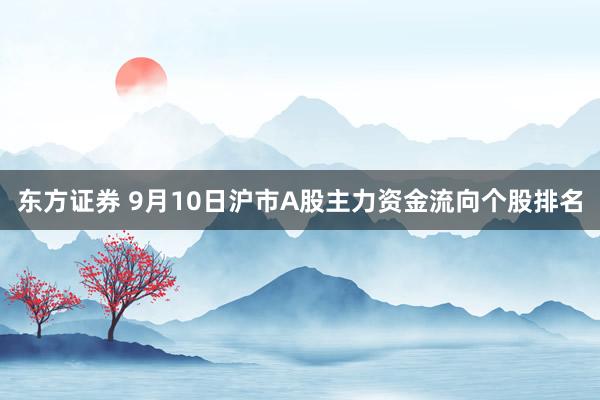 东方证券 9月10日沪市A股主力资金流向个股排名