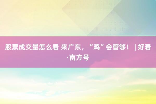 股票成交量怎么看 来广东，“鸡”会管够！ | 好看·南方号