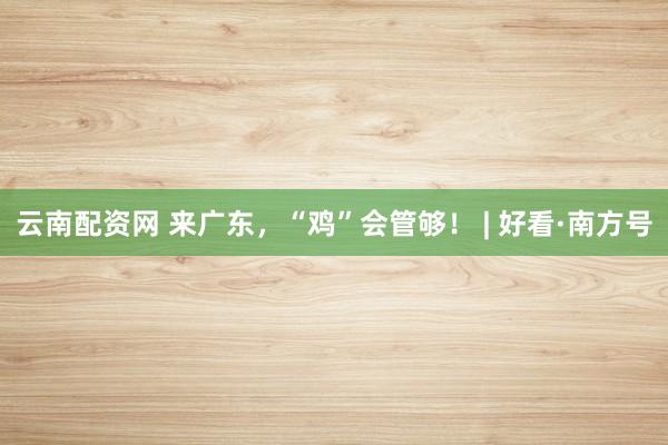 云南配资网 来广东，“鸡”会管够！ | 好看·南方号