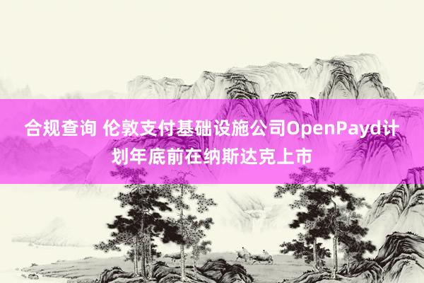 合规查询 伦敦支付基础设施公司OpenPayd计划年底前在纳斯达克上市